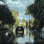 Vista de una calle en Valencia después de la lluvia, con gotas en el parabrisas y palmeras a los lados de la carretera. Logo de OPEN-MINDED en la esquina inferior derecha