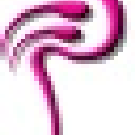 Flamingos Swinger Club — Valencia